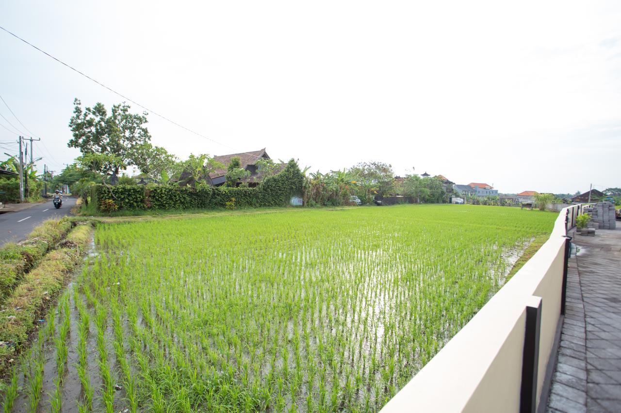 V Canggu Dormitory エクステリア 写真